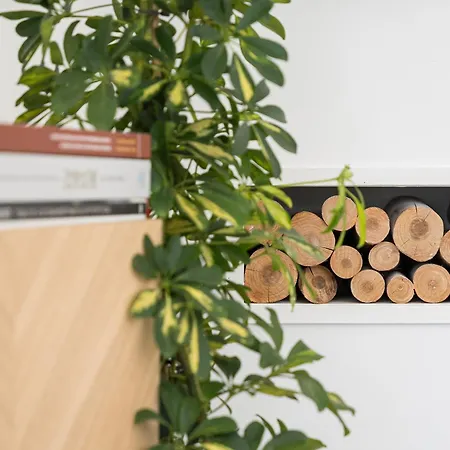 Retreat To A Stylish Concept House In Prázdninový dům Porto